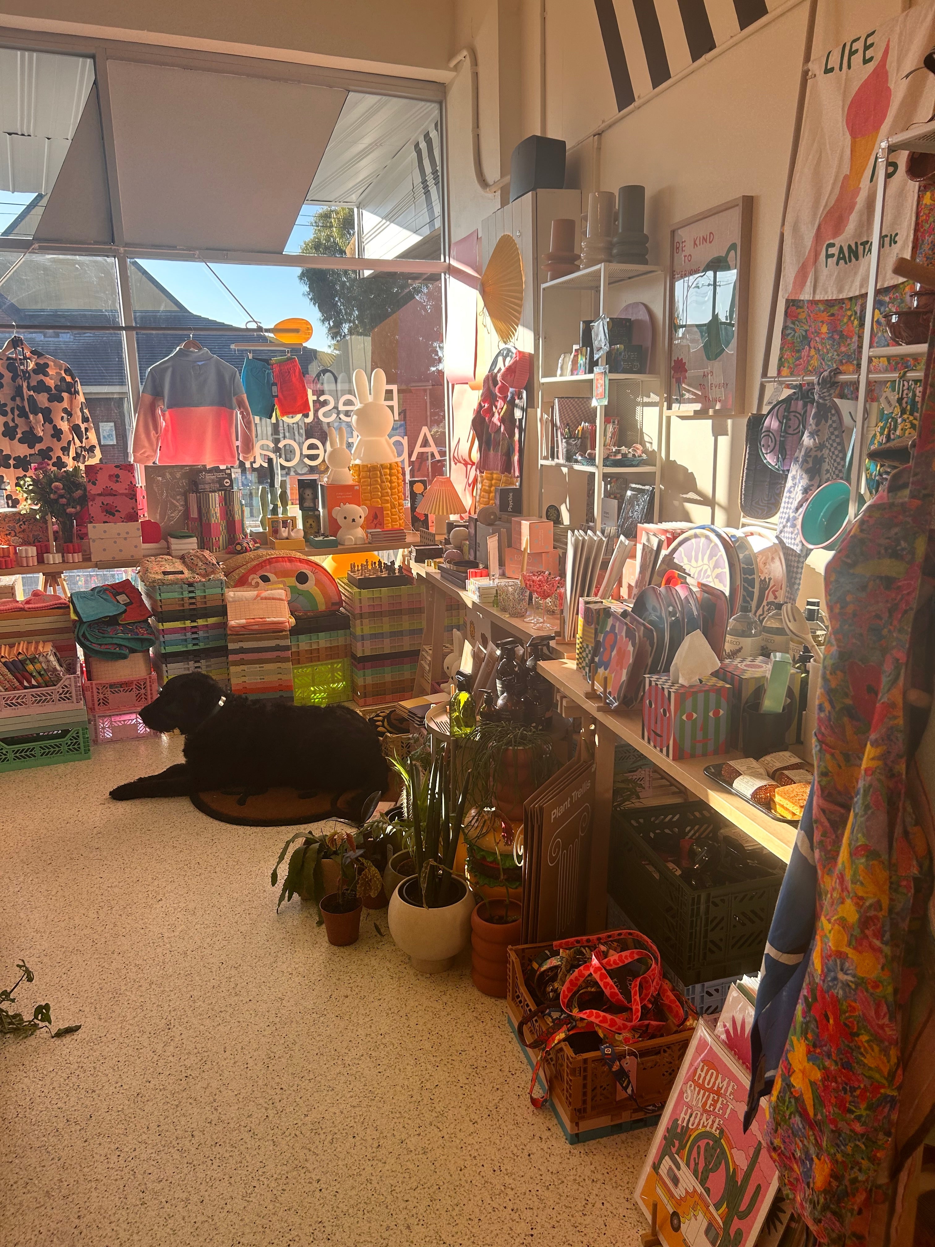 SHOP SMALL THIS YEAR!