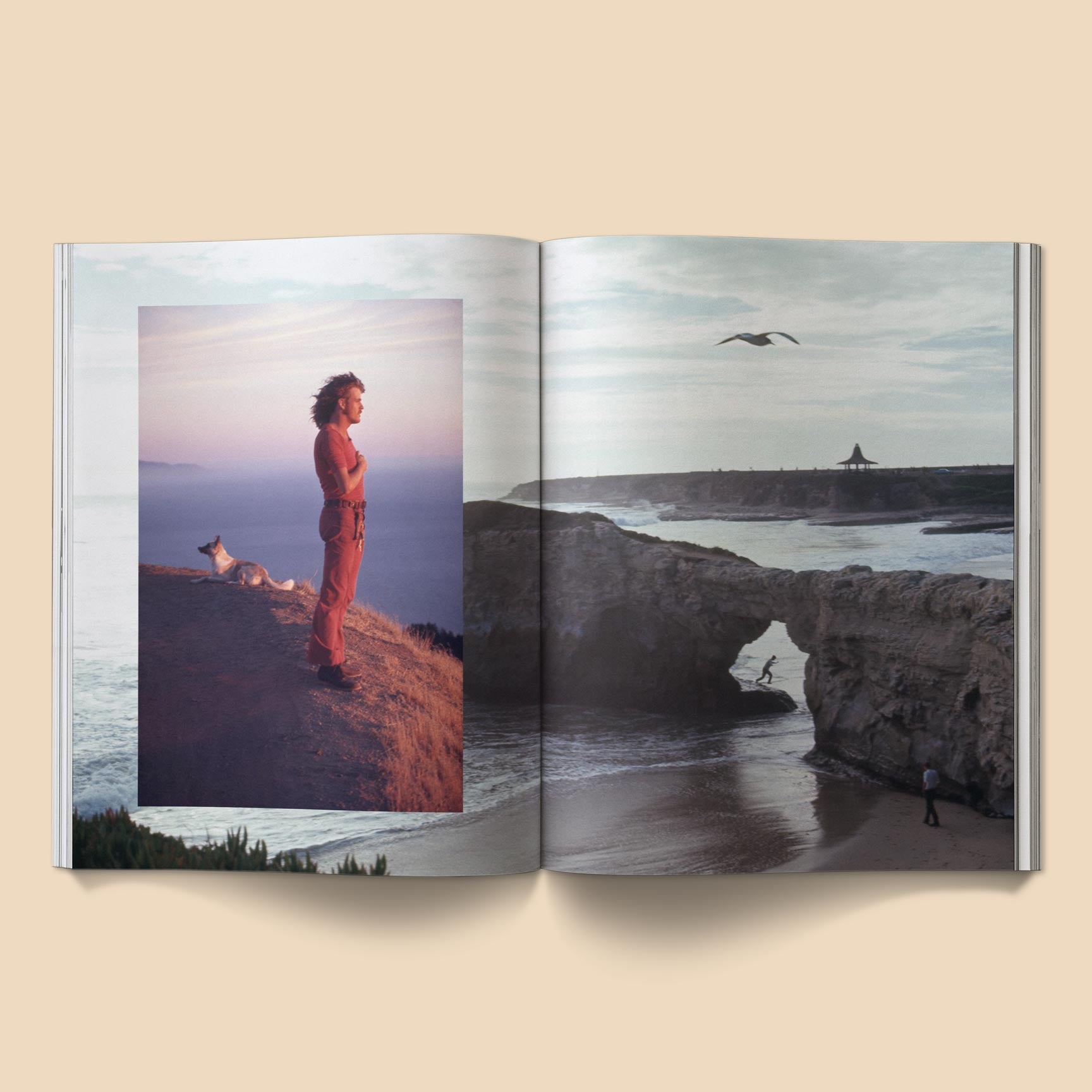 BROCCOLI MAGAZINE - The Family Acid: California Photo Book