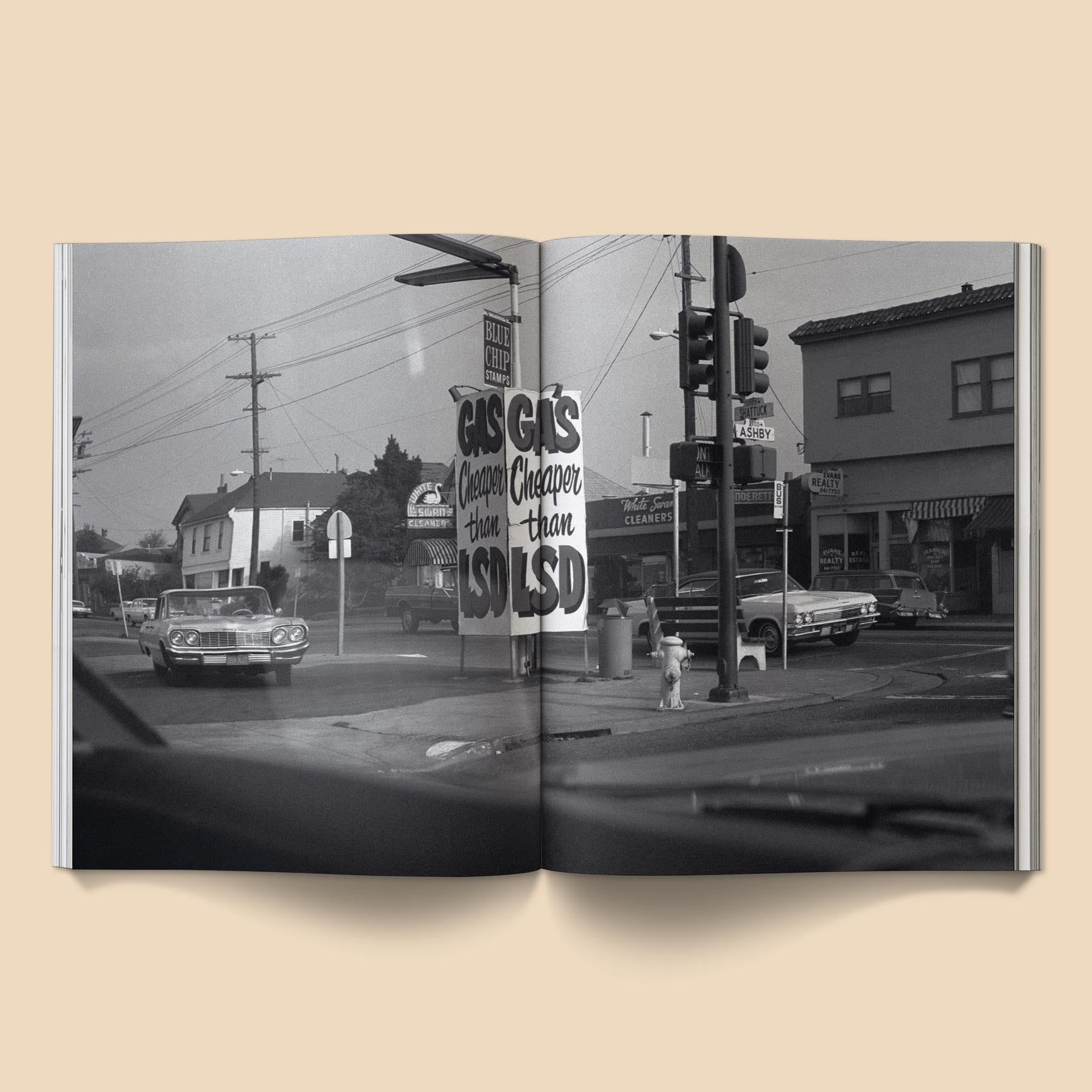 BROCCOLI MAGAZINE - The Family Acid: California Photo Book