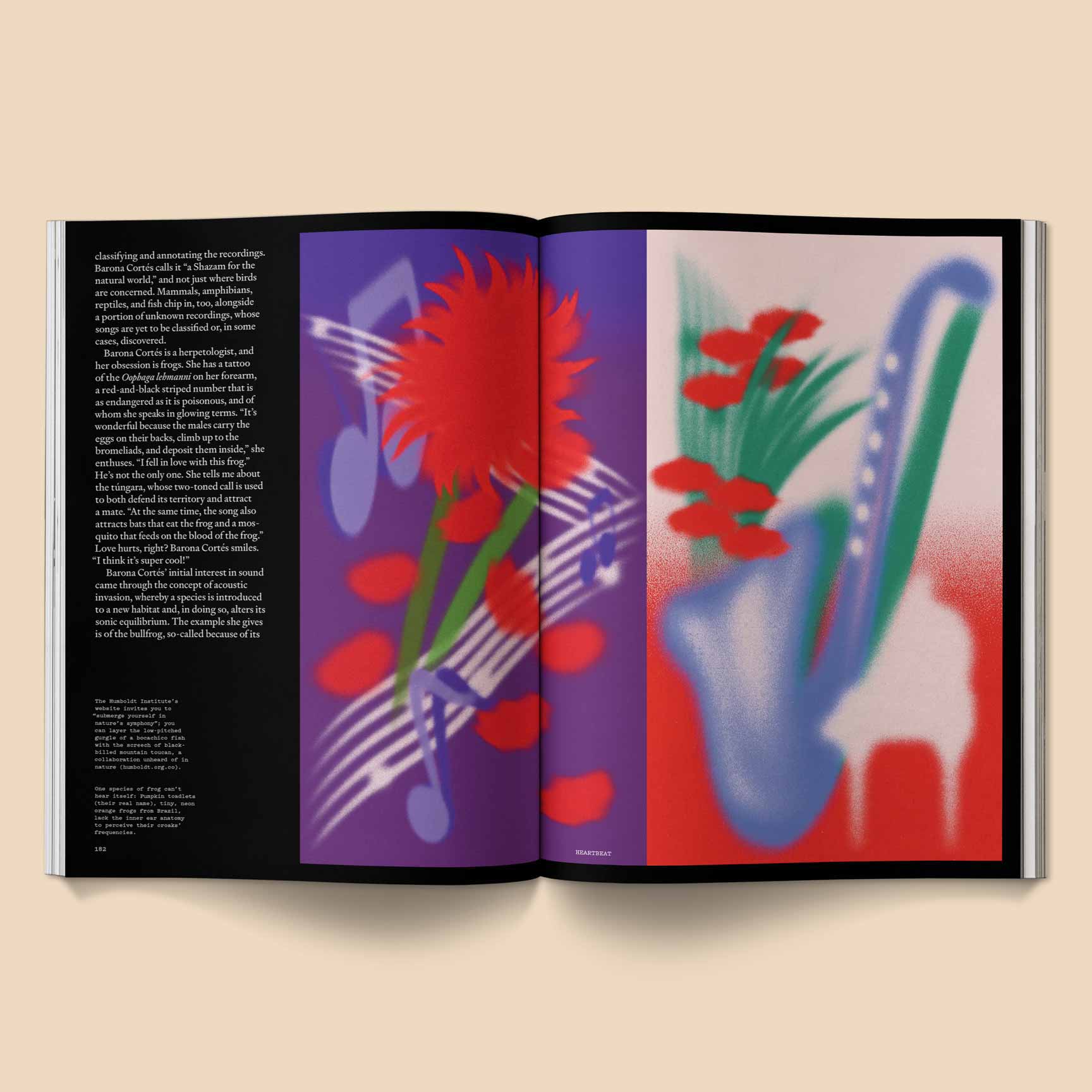 BROCCOLI MAGAZINE - Heartbeat Magazine: Music, Sound, Emotion