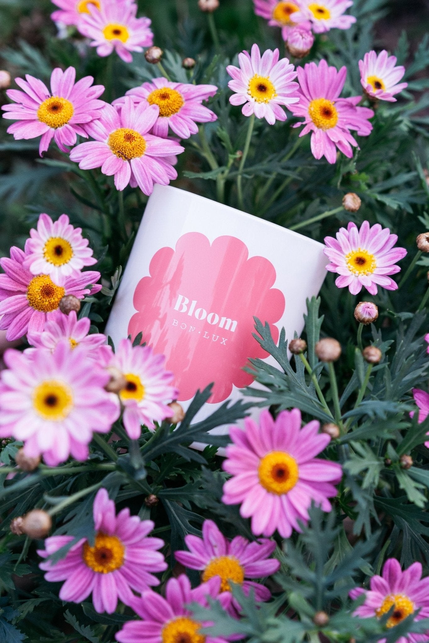 BON LUX - Bloom Boxed Votive Candle