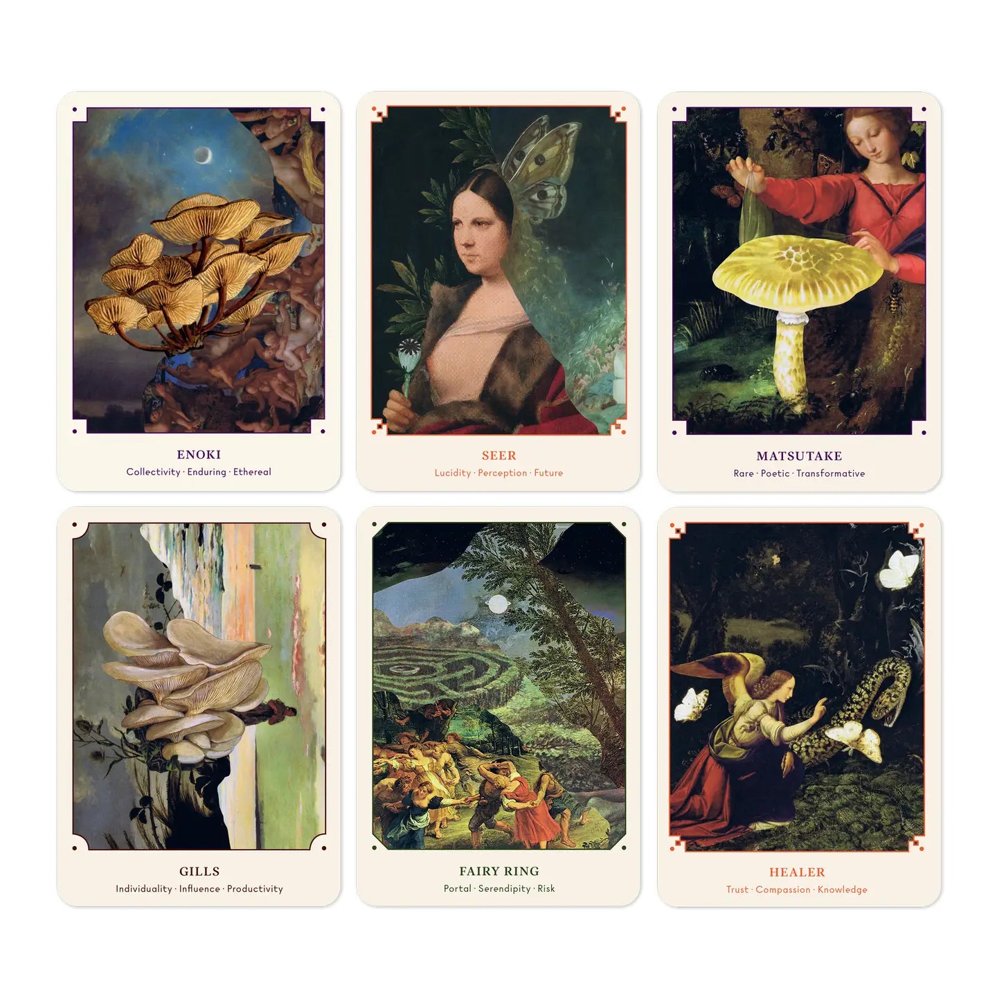 BROCCOLI MAGAZINE -The Mushroom Oracle: 44 Card Deck and Guidebook