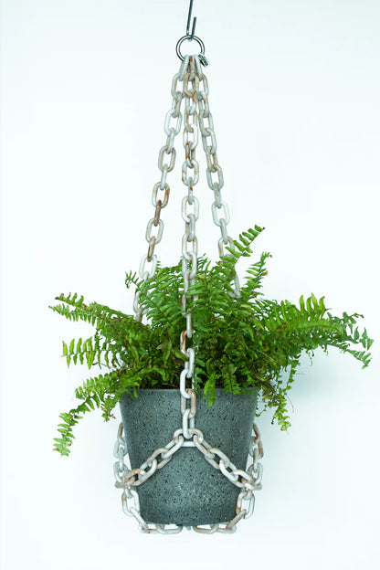 WOLJAM Universal Hanger plant hanger Preston Apothecary   