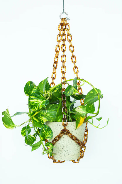 WOLJAM Universal Hanger plant hanger Preston Apothecary   