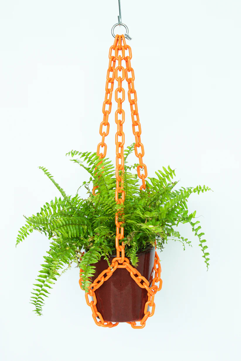 WOLJAM Universal Hanger plant hanger Preston Apothecary   