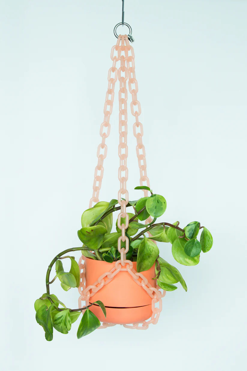 WOLJAM Universal Hanger plant hanger Preston Apothecary   