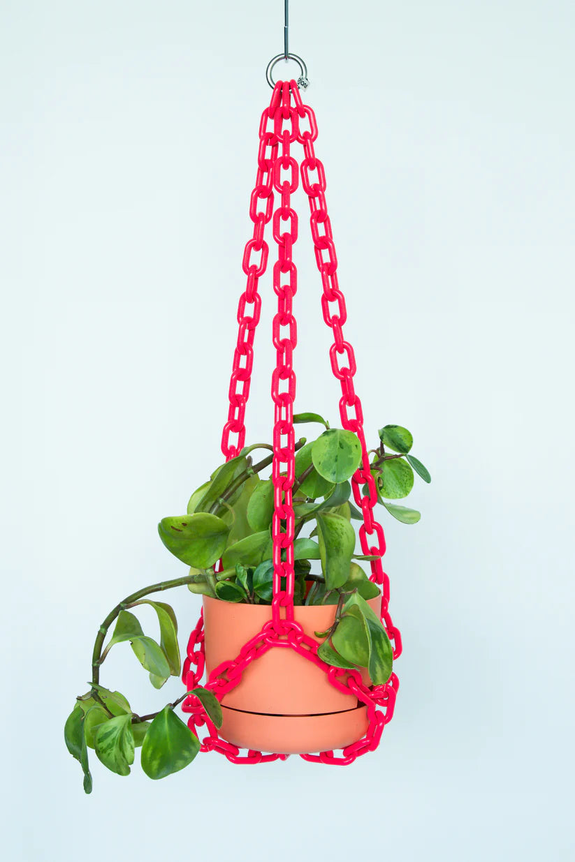 WOLJAM Universal Hanger plant hanger Preston Apothecary   