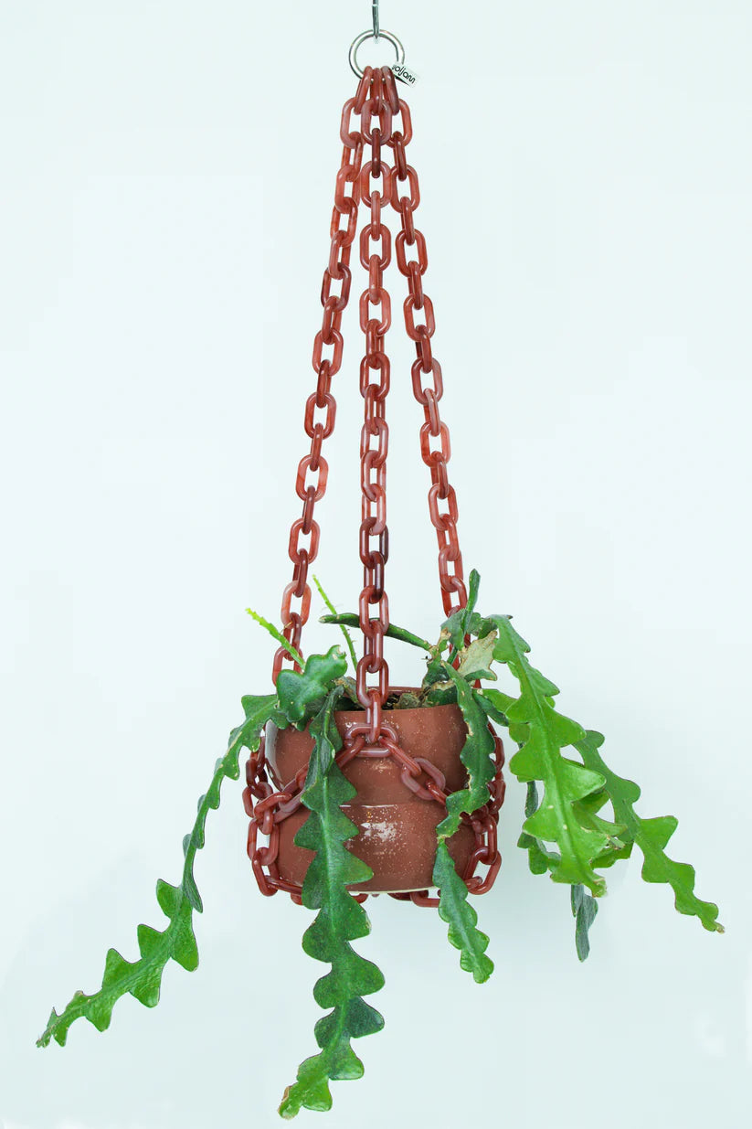 WOLJAM Universal Hanger plant hanger Preston Apothecary   