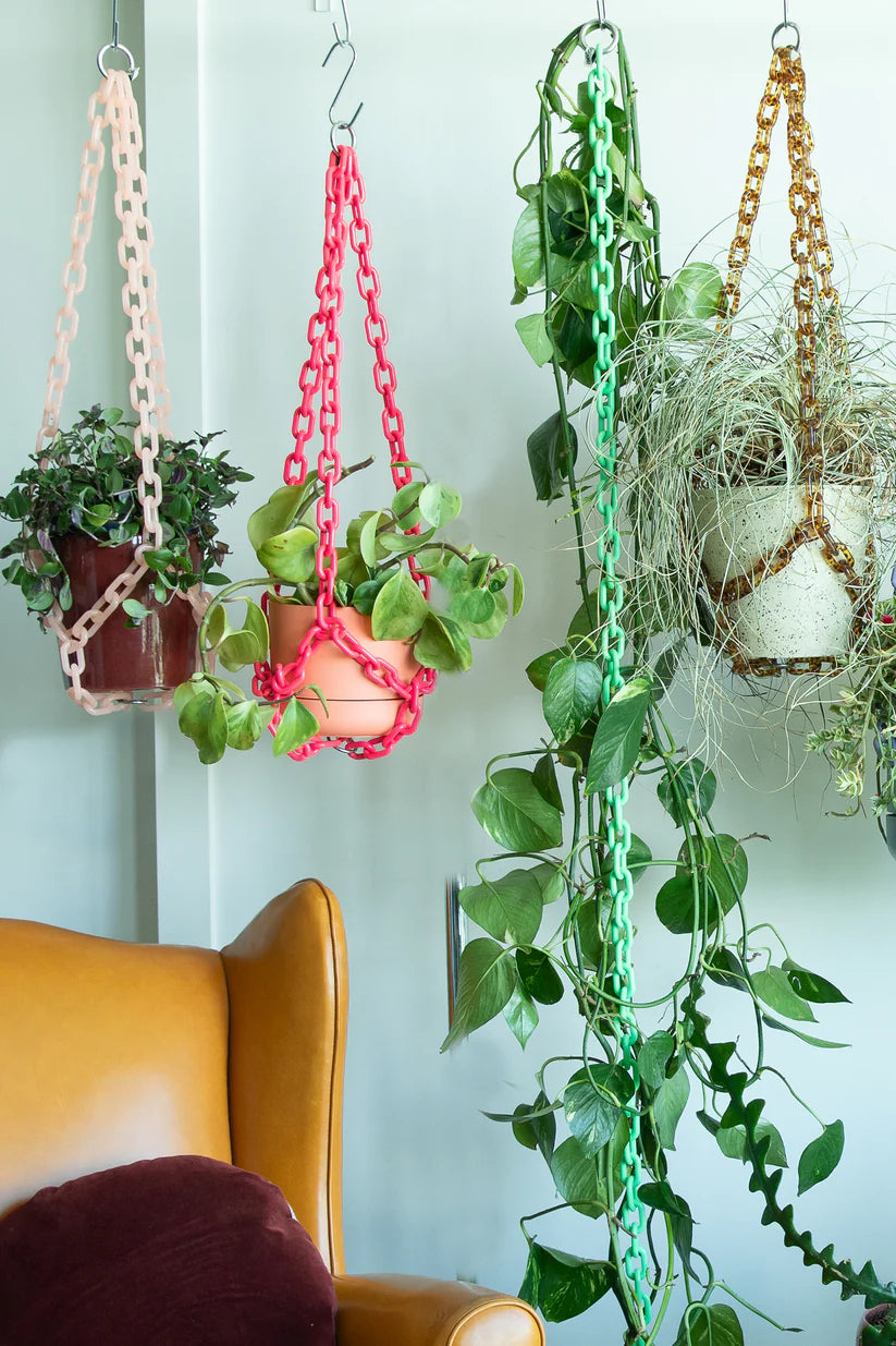 WOLJAM Universal Hanger plant hanger Preston Apothecary   