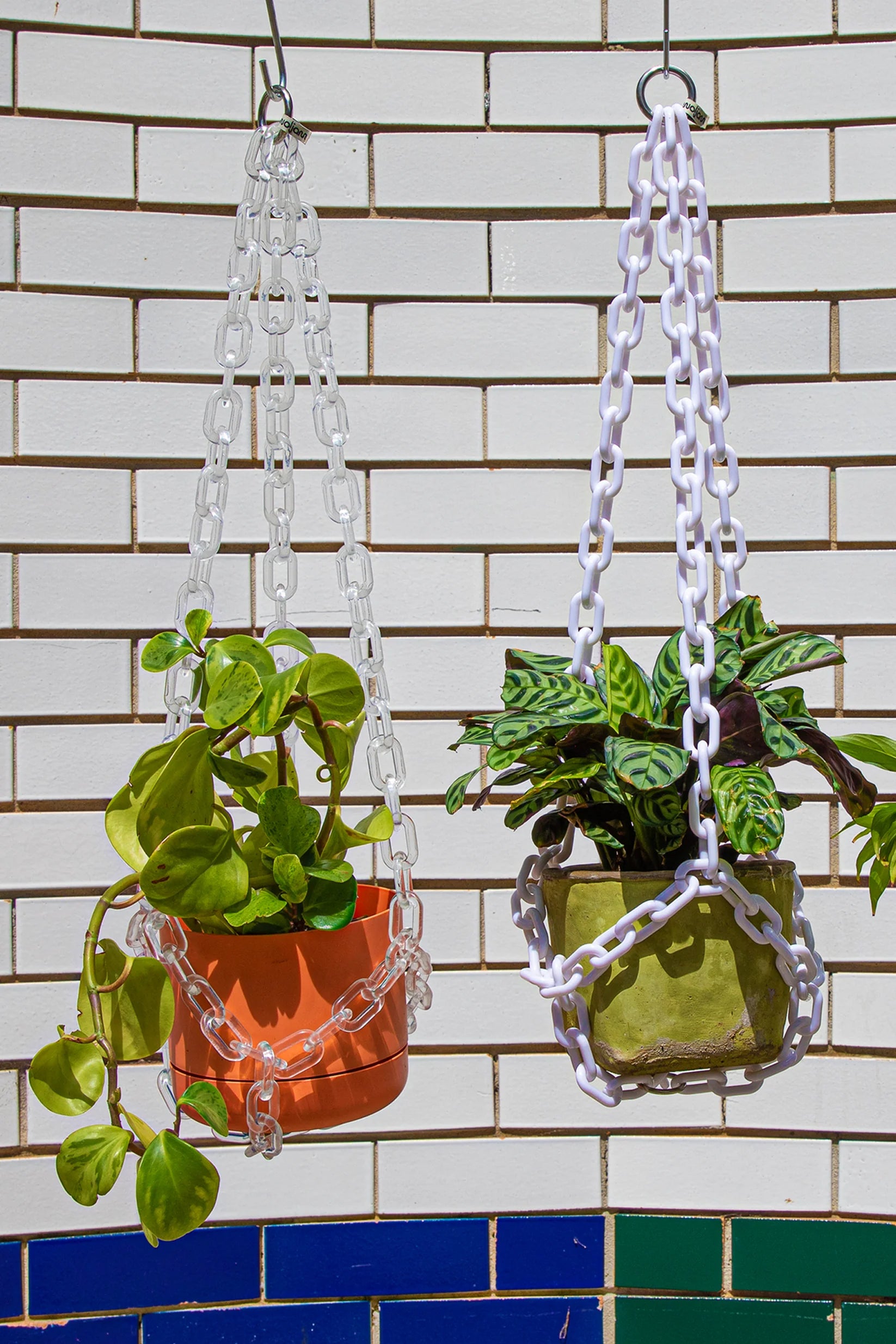 WOLJAM Universal Hanger plant hanger Preston Apothecary   