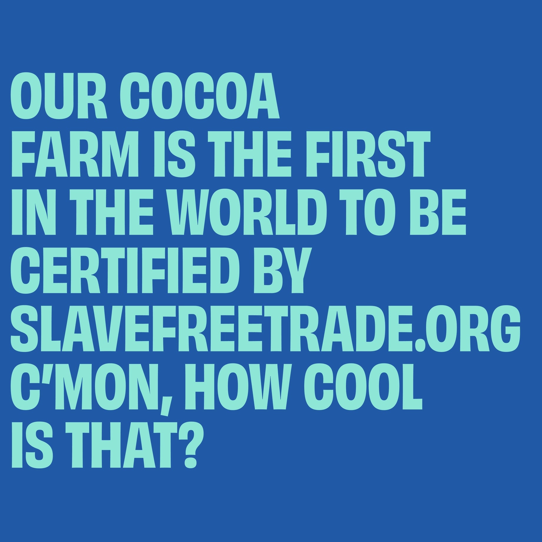 UP-UP CHOCOLATE - Wild Mint Dark Chocolate Bar 120G