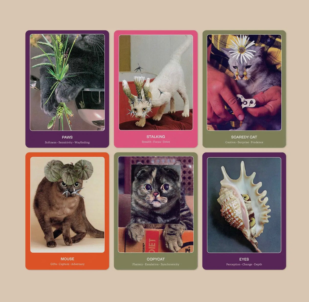 BROCCOLI MAGAZINE The Cat Oracle: 44 Card Deck and Guidebook~ PRE ORDER SHIPPING IN MARCH