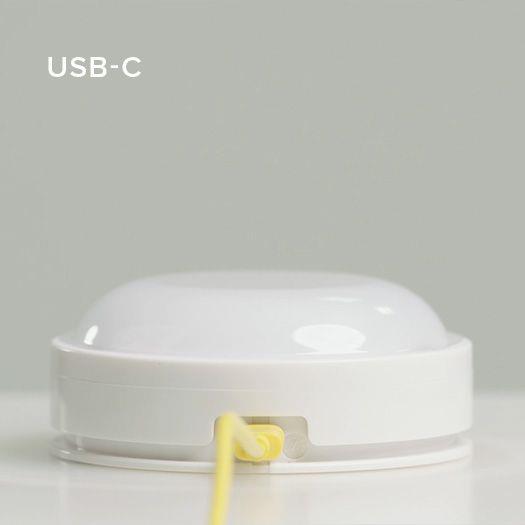 MR MARIA - Lion First Light (Miffy's Lion friend)