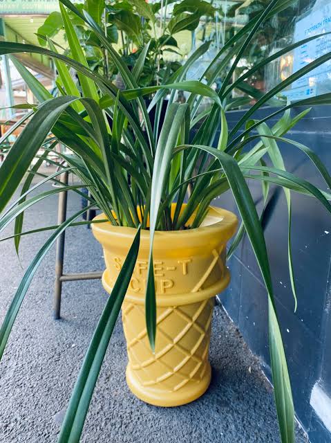 Third Drawer Down - Giant Ice Cream Cone Planter