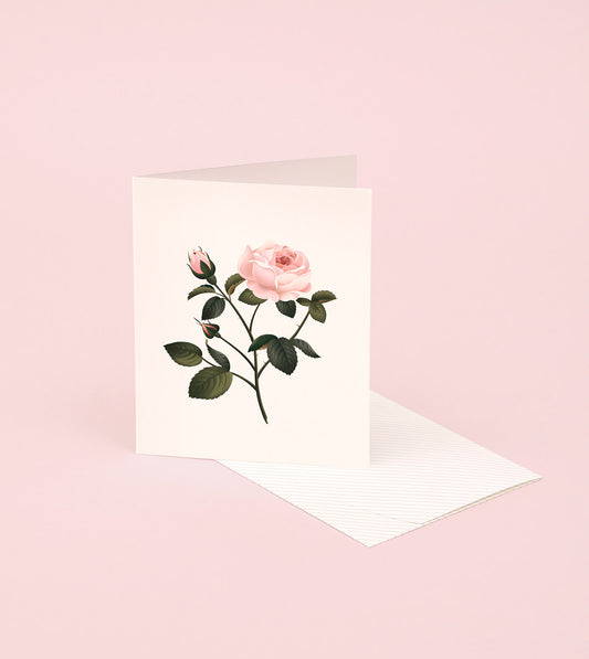 Botanical Scented Card | Rose