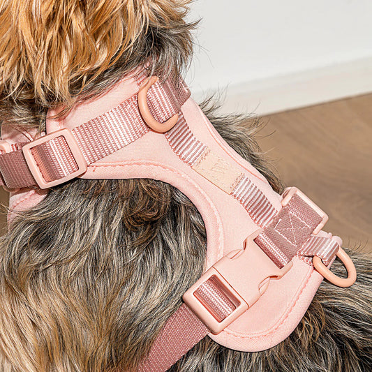WILD ONE Dog Harness Medium - Blush Pink