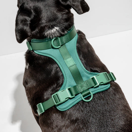 WILD ONE Dog Harness Large - Green