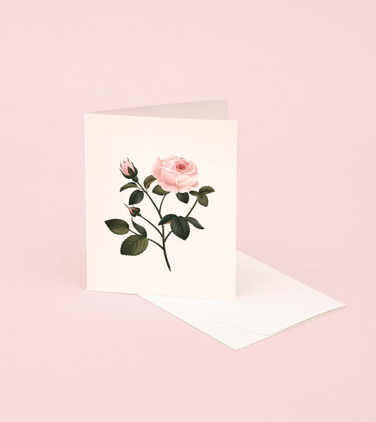 Botanical Scented Card | Rose - Preston Apothecary
