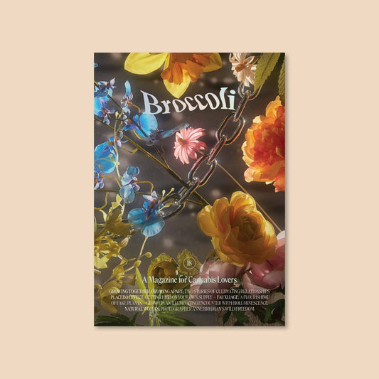 BROCCOLI MAGAZINE Broccoli Magazine Issue 18 - Preston ApothecaryBroccoli