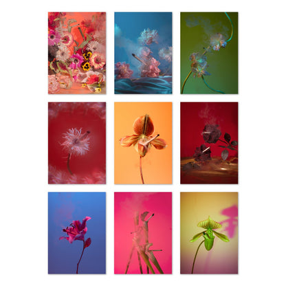BROCCOLI MAGAZINE Smoking Flowers Postcard Print Set - Preston Apothecary