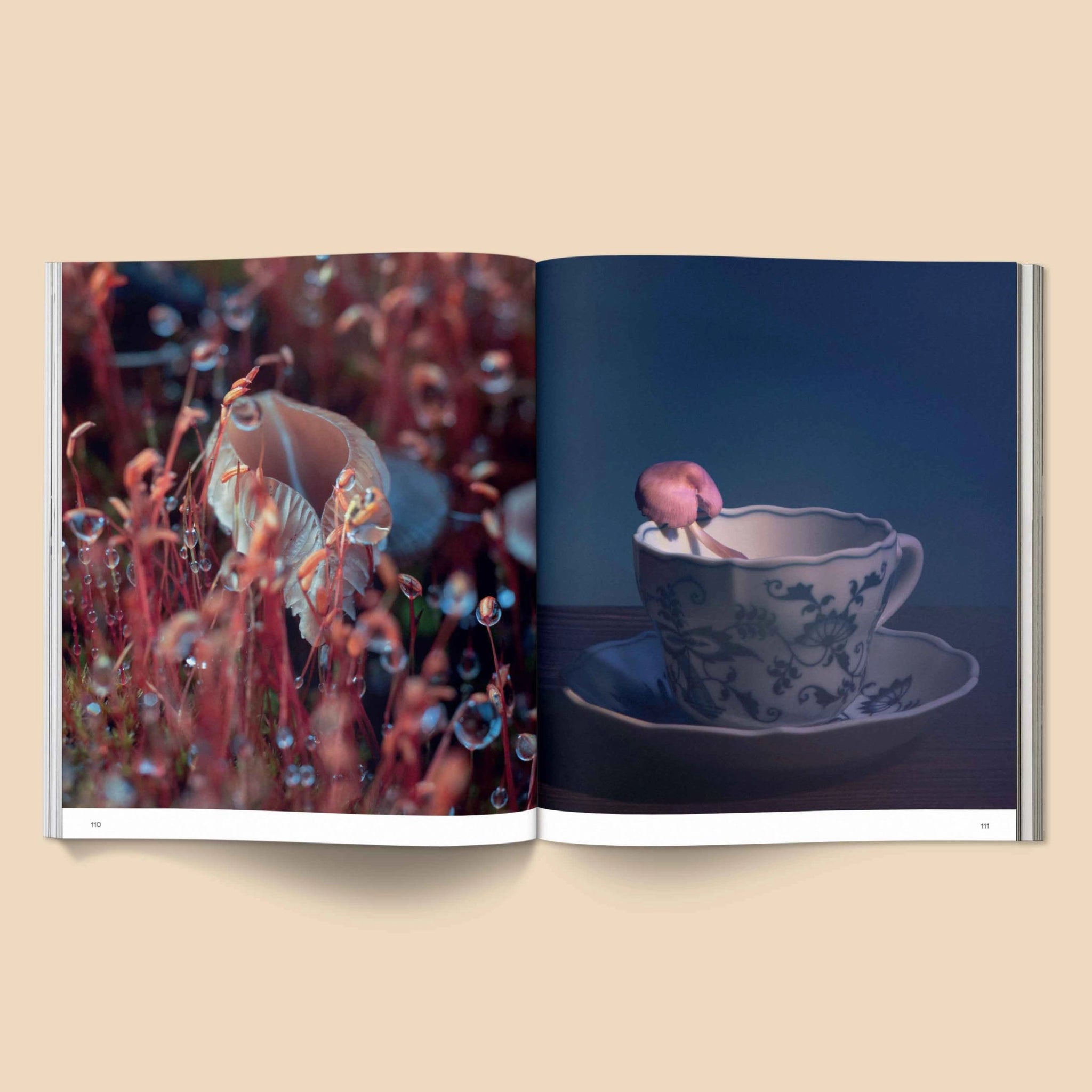 BROCCOLI MAGAZINE- Spores: Magical Mushroom Photography Book