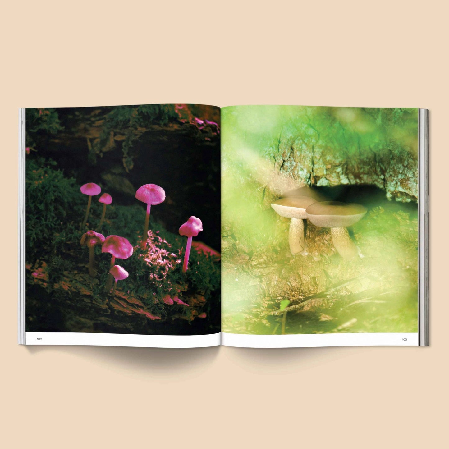 BROCCOLI MAGAZINE- Spores: Magical Mushroom Photography Book - Preston Apothecary