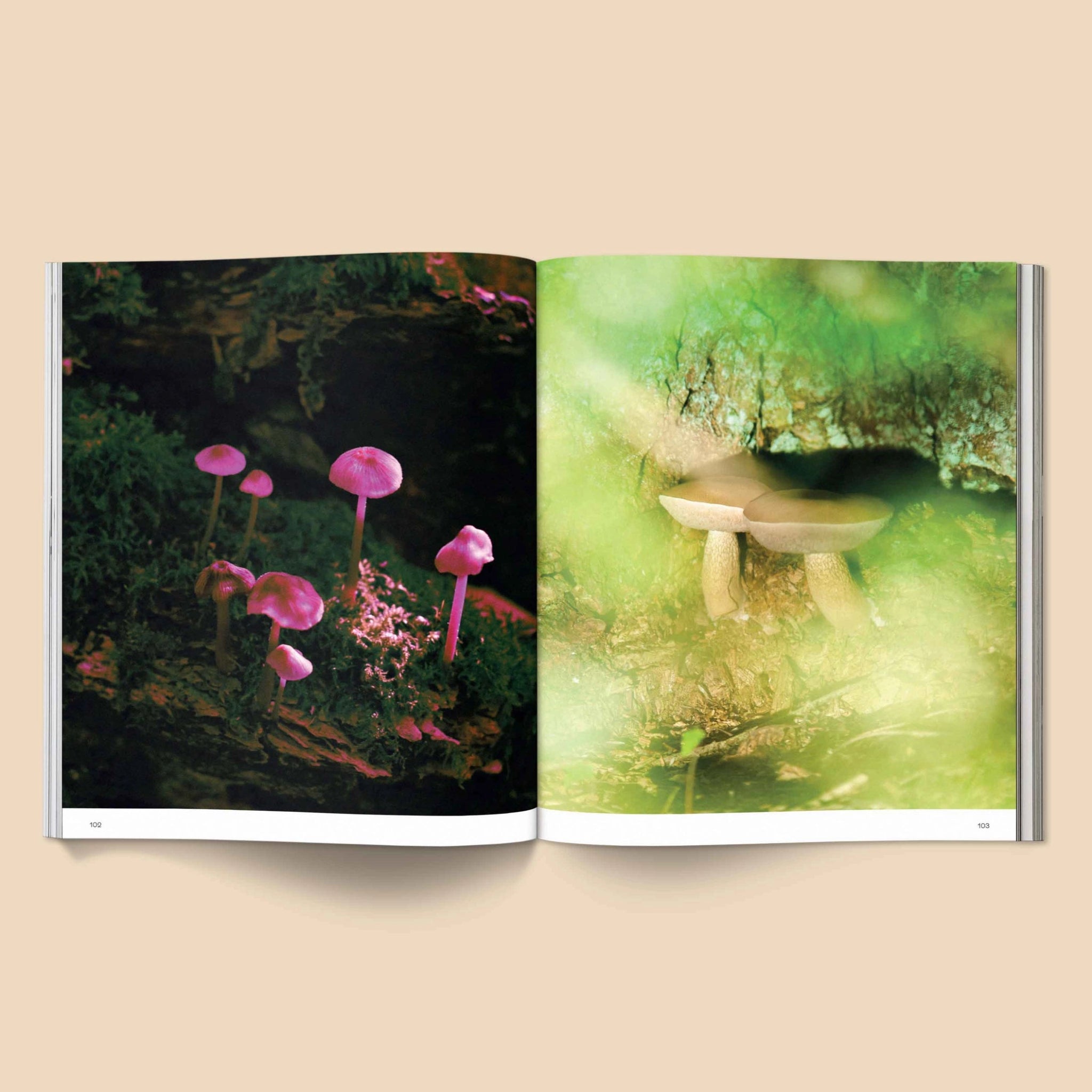 BROCCOLI MAGAZINE- Spores: Magical Mushroom Photography Book