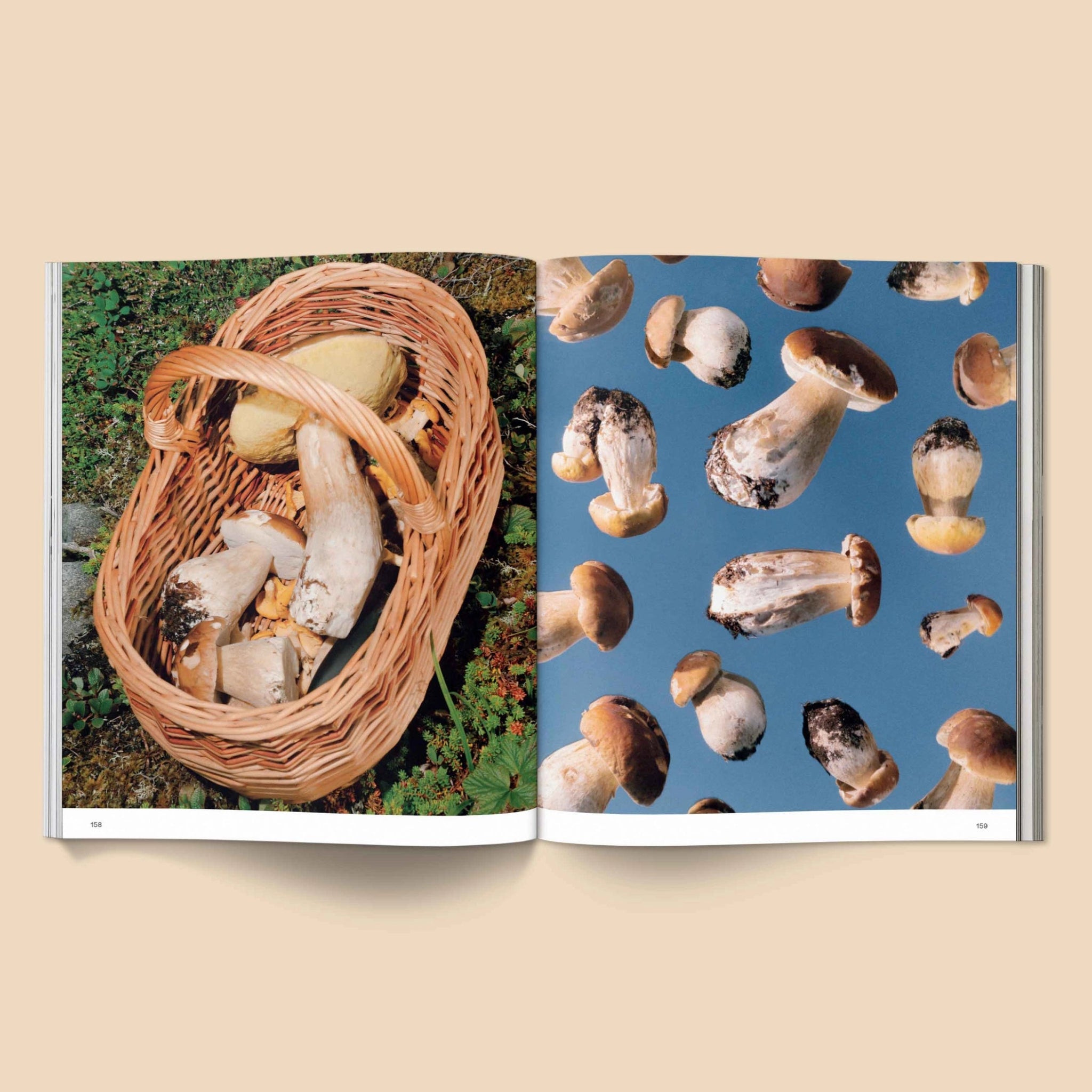 BROCCOLI MAGAZINE- Spores: Magical Mushroom Photography Book