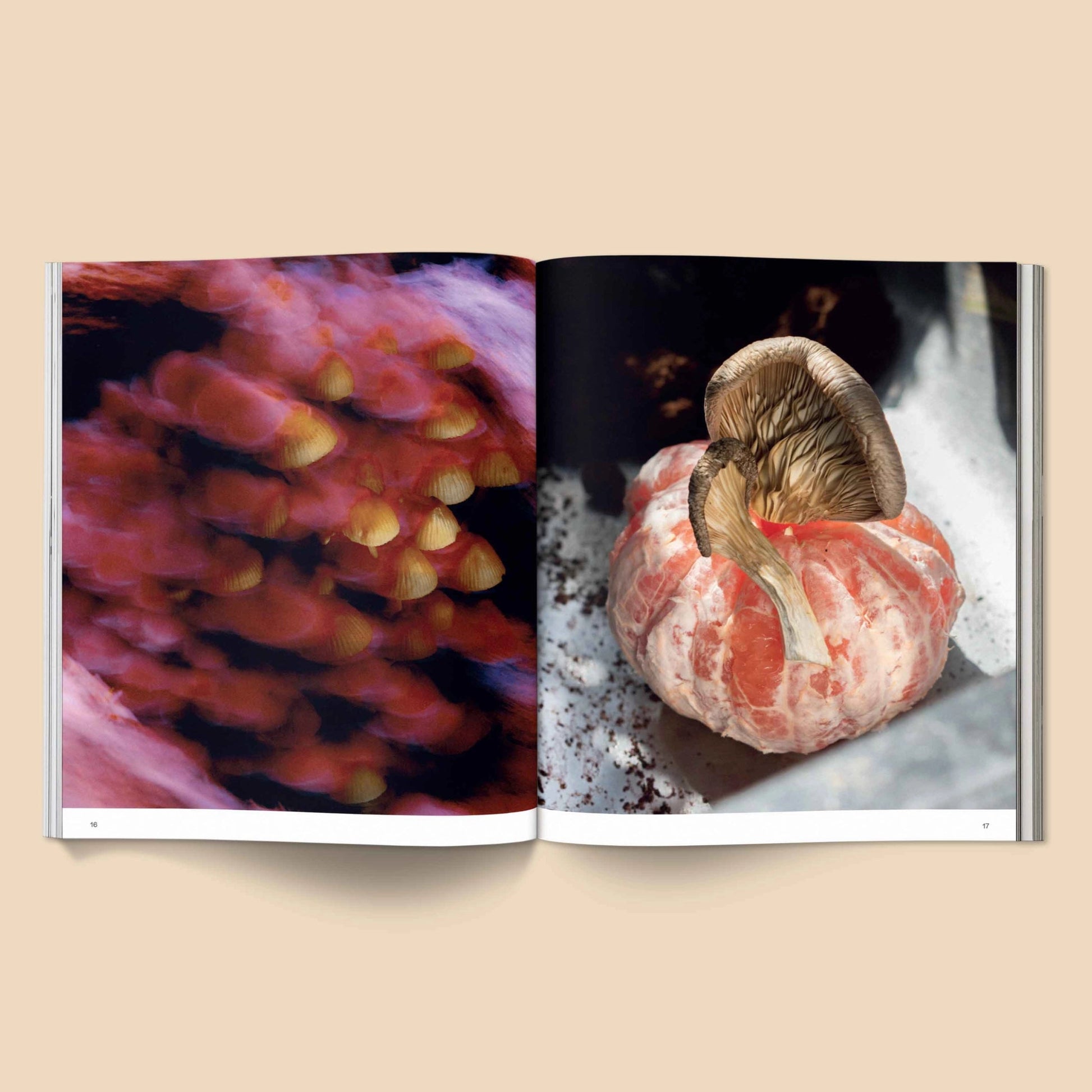 BROCCOLI MAGAZINE- Spores: Magical Mushroom Photography Book - Preston ApothecaryBroccoli