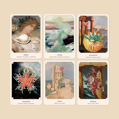 BROCCOLI MAGAZINE The Seashell Oracle: 44 Card Deck and Guidebook - Preston Apothecary