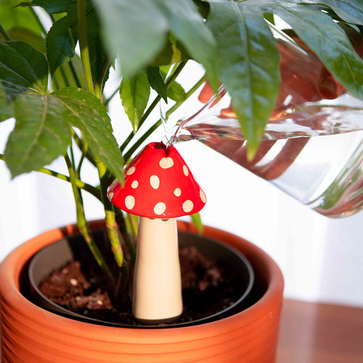 DOIY Amanita Watering System