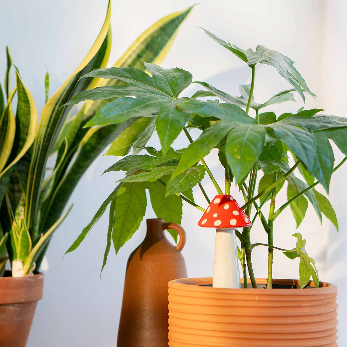 DOIY Amanita Watering System vase DOIY   