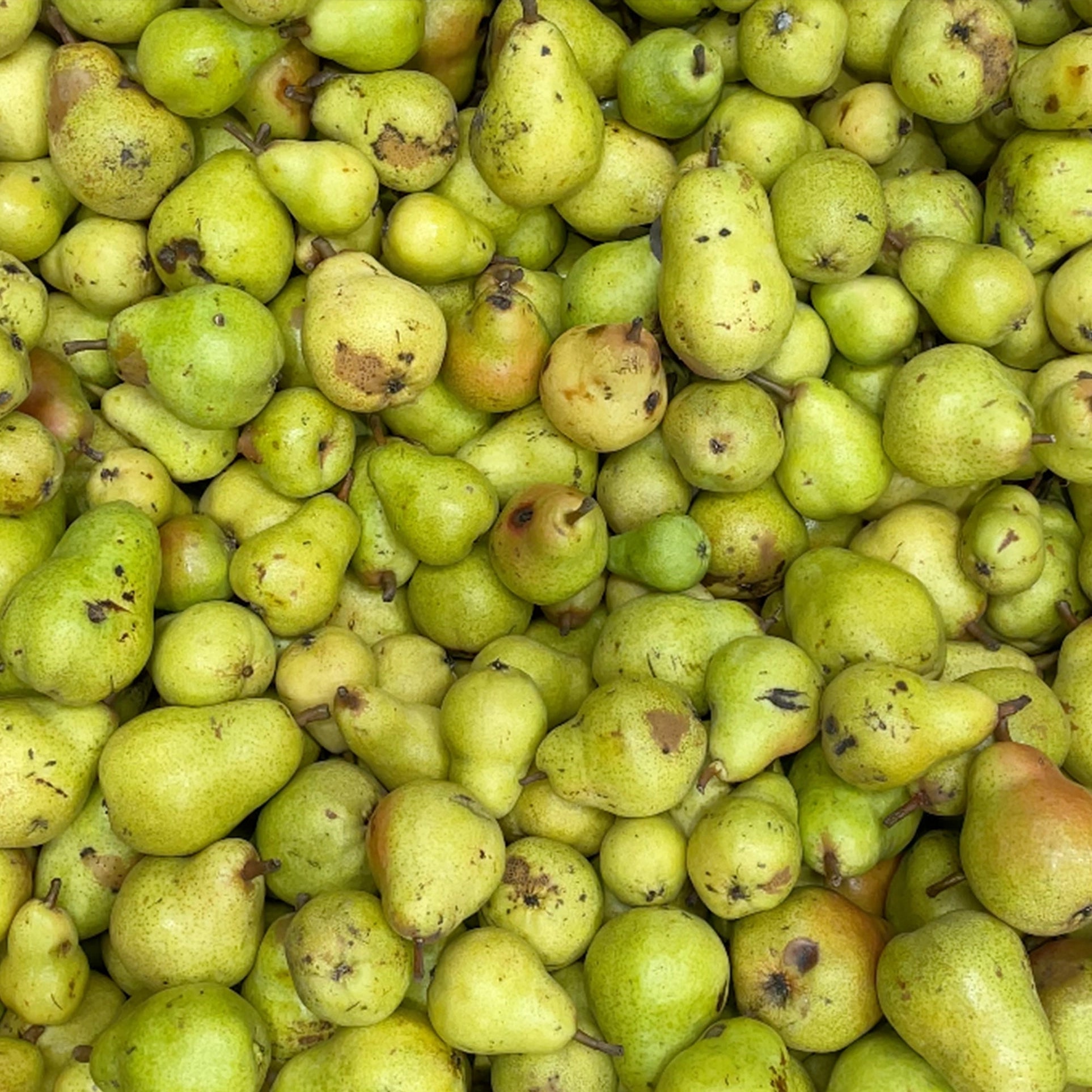 NON - NON2 Caramelised Pear & Kombu Non-Alc wine