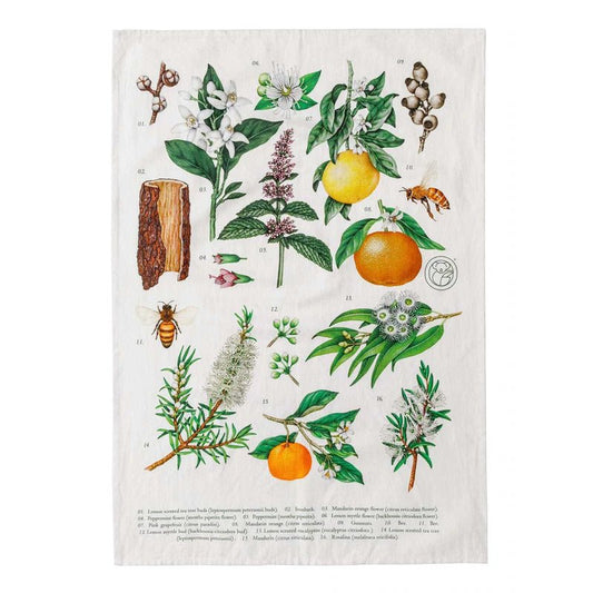 Koala Eco Terra Botanica Linen Tea Towel - Preston Apothecary