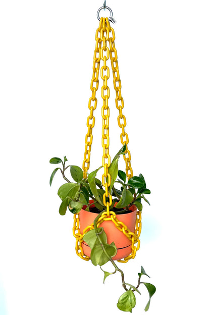 WOLJAM Universal Hanger plant hanger Preston Apothecary   