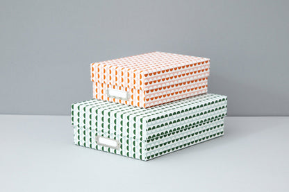 OLA Set of 2 Archive Boxes - Sophie - Preston Apothecary