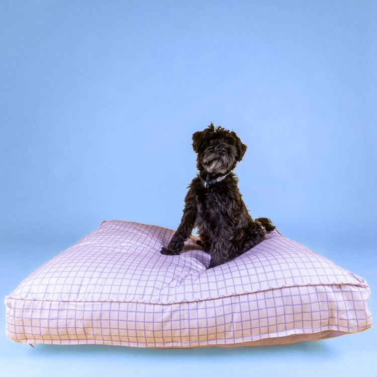 WINNIE & OSLO Pet Bed in Pastel Check - PICK UP ONLY - Preston ApothecaryWINNIE & OSLO