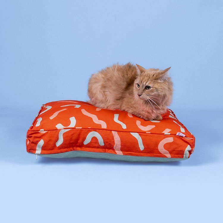 WINNIE & OSLO Pet Bed in Whacky Wavy - PICK UP ONLY - Preston ApothecaryWINNIE & OSLO