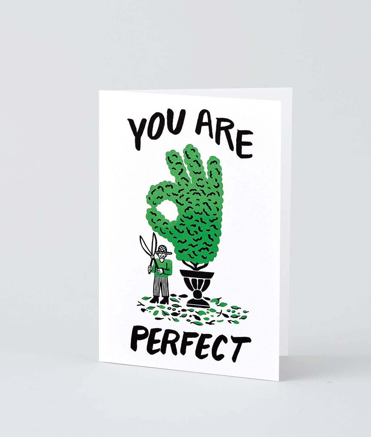 Wrap - 'You Are Perfect' Greetings Card