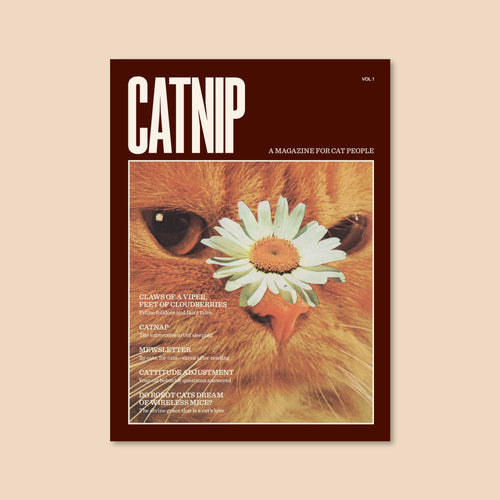 BROCCOLI MAGAZINE  Catnip Magazine