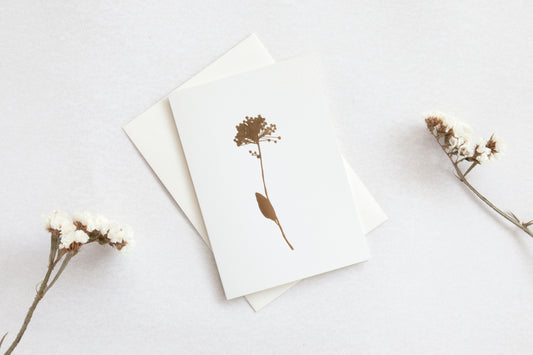OLA Allium Card - Foil Blocked Brass on Ivory